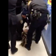 Illustration for article titled NYPD Looks Into Shocking Video of Officers Wrestling a 1-Year-Old From His Mother’s Arms